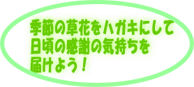 紙すき