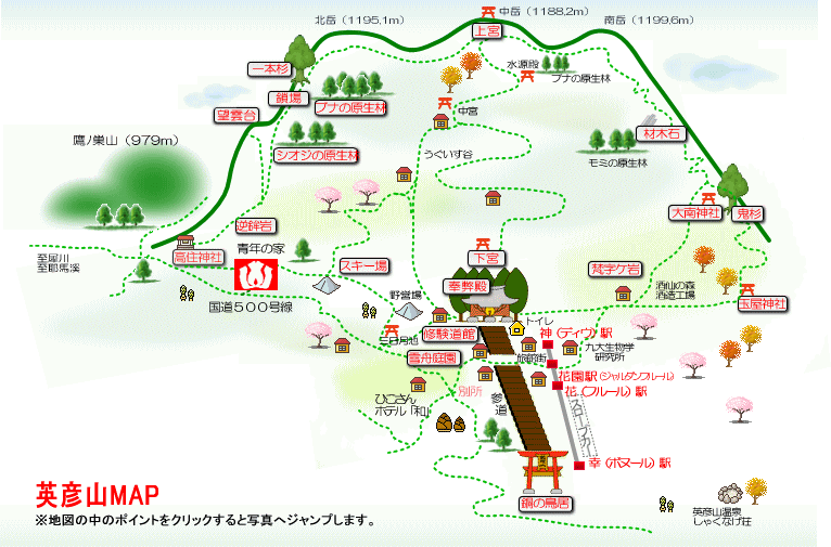 �p�F�RMAP