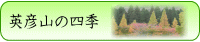 英彦山の四季