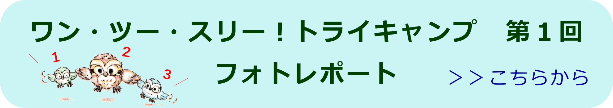 ワン・ツー・スリー！トライキャンプ　フォトレポート
