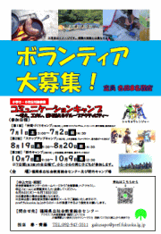 研修会ボランティア募集チラシ画像とPDFの掲載
