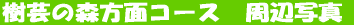 |̐XʃR[X@ӎʐ^ 