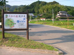 大和の森遊歩道