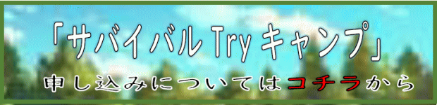 ToCoTryLv@\݂ɂĂ̓R`