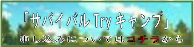 �u�T�o�C�o��try�L�����v�v�\�����݂ɂ��Ă̓R�`������