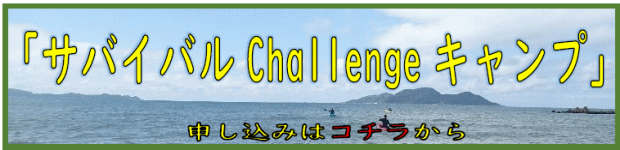 �T�o�C�o��Challenge�L�����v�@�\�����݂̓R�`������