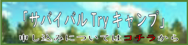 �u���C�̉Ɓv�T�o�C�o��Try�L�����v�@�\�����݂̓R�`������