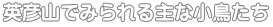 pFRŌȏ