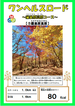 ワンヘルスロード資料画像