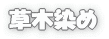 草木染め